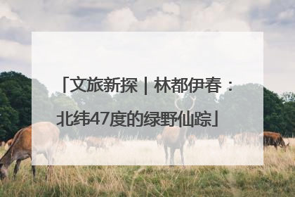 文旅新探｜林都伊春：北纬47度的绿野仙踪